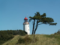 Leuchtturm auf Hiddensee 